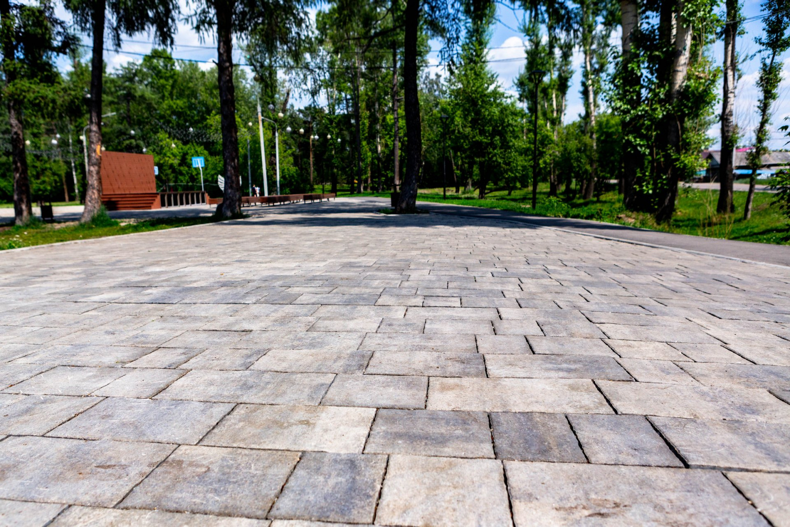 Каштаковская роща, г. Иркутск, 2019 г.