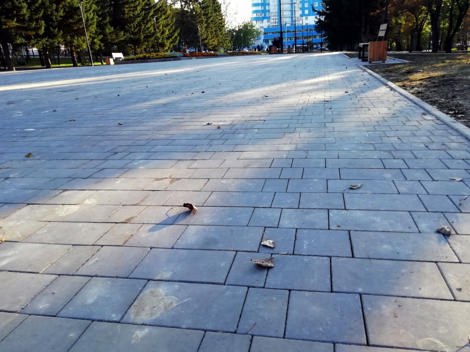 Парк "Лисихинский", г. Иркутск, 2020 г.