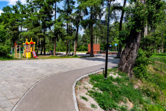 Каштаковская роща, г. Иркутск, 2019 г.