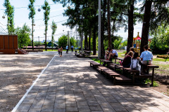 Каштаковская роща, г. Иркутск, 2019 г.