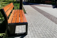 Памятник градоначальнику Николаю Салацкому, г. Иркутск, 2019
