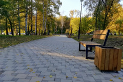 Парк "Лисихинский", г. Иркутск, 2020 г.