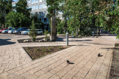 Сквер дружбы Иркутска и Пфорцхайма, г. Иркутск, 2020 г.