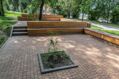 Парк "Лисихинский", г. Иркутск, 2020 г.