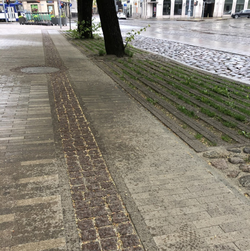 Гранит добавил уюта тротуару из бетонной плитки