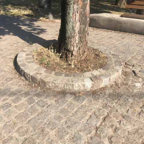 Окантовка дерева колотым гранитом