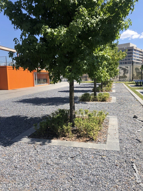 Околоствольные квадраты