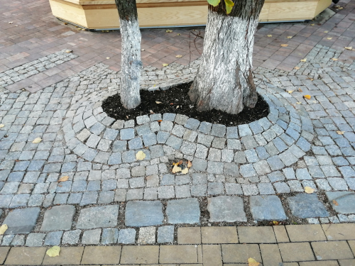 Неправильный околоствольный круг