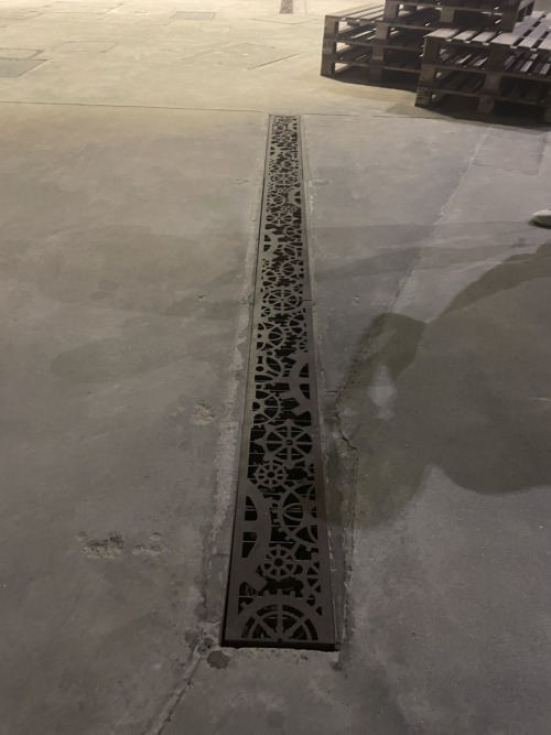 Водосбор с необычным рисунком